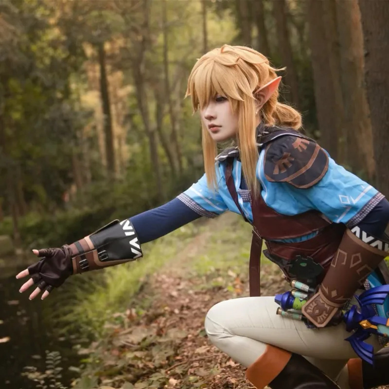 Game Zelda Breath of The Wild  - Zelda Party Games ulasan dan harga
